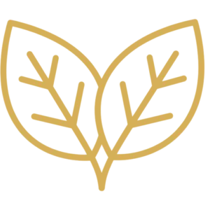 phachan_icon_herbal